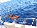 ponza 2003 - 030.JPG